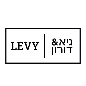 גיא ודורון